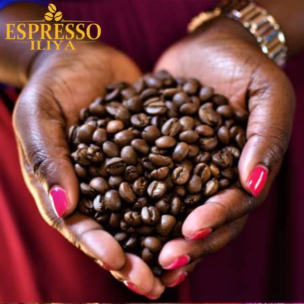 قهوه عربیکا آفریقا کنیا