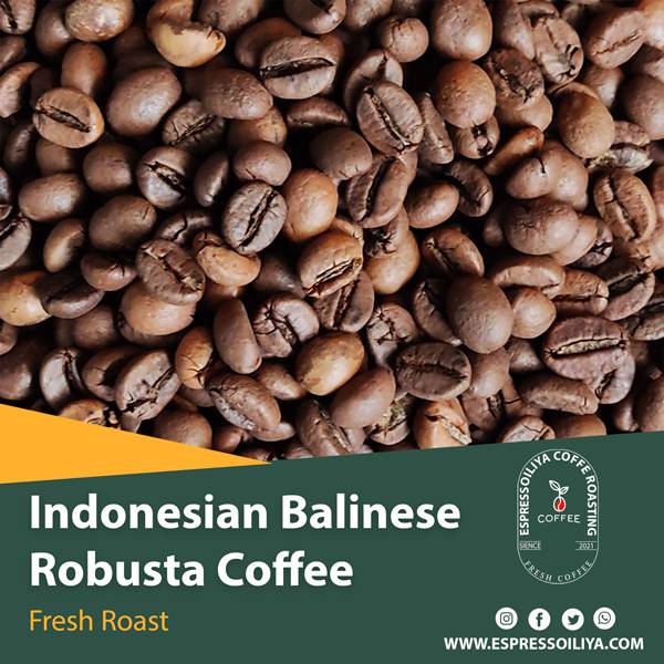 قهوه روبوستا اندونزی بالی