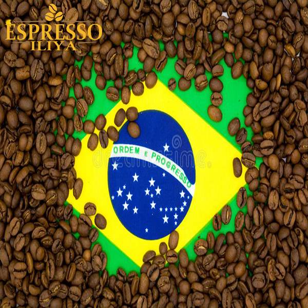 قهوه عربیکا برزیل سرادو