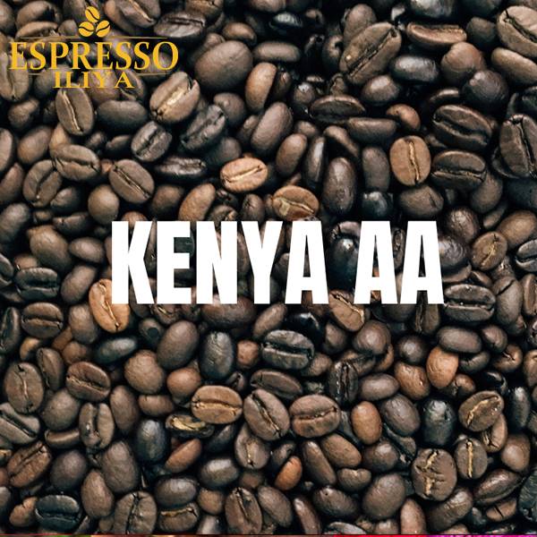 قهوه عربیکا آفریقا کنیا