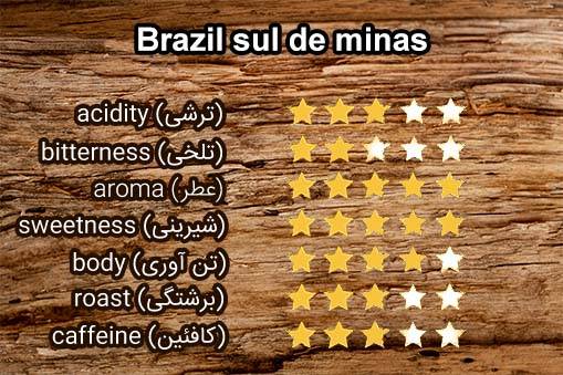 ویژگی های قهوه عربیکا برزیل سانتوس