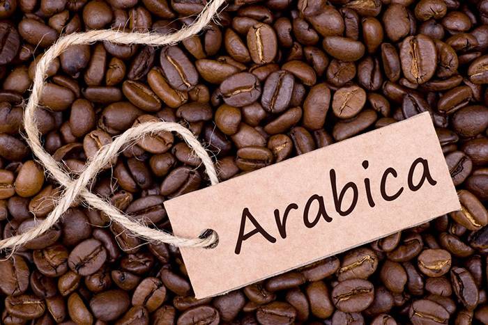 ترکیب قهوه 70 درصد عربیکا G1