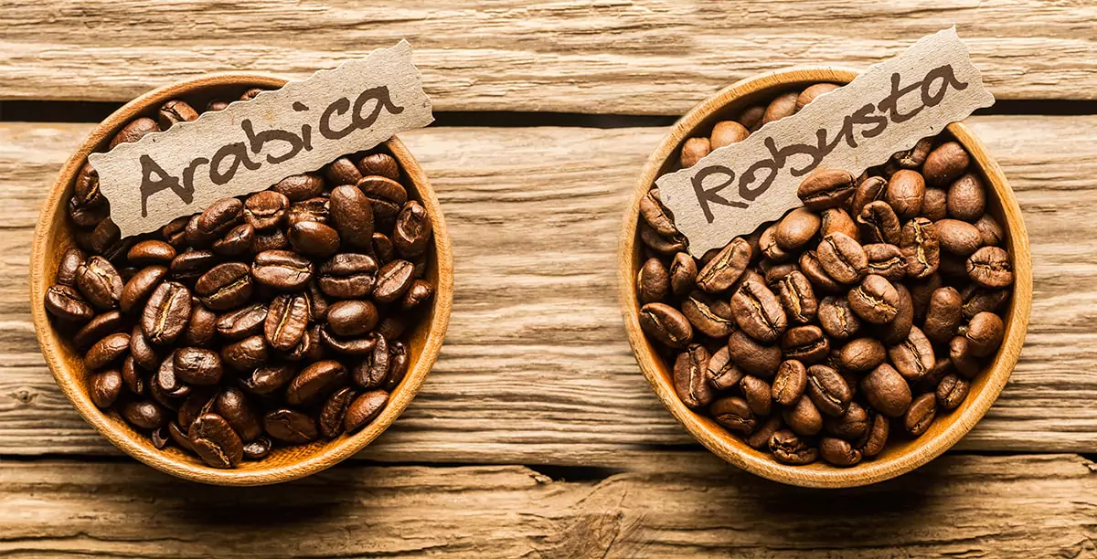 مقایسه قهوه روبوستا و عربیکا